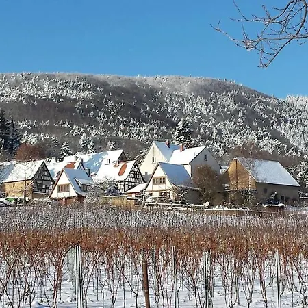 Traumblick Rebenmeer Gleisweiler Exterior photo