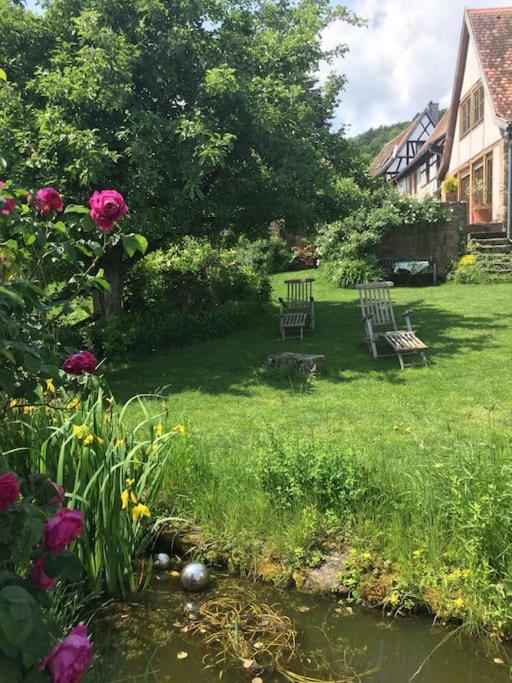 Apartment Traumblick Rebenmeer