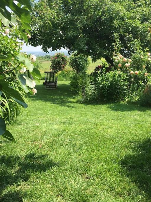 Apartment Traumblick Rebenmeer Gleisweiler
