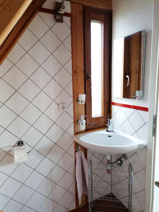 Traumblick Rebenmeer