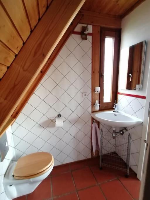 Traumblick Rebenmeer *