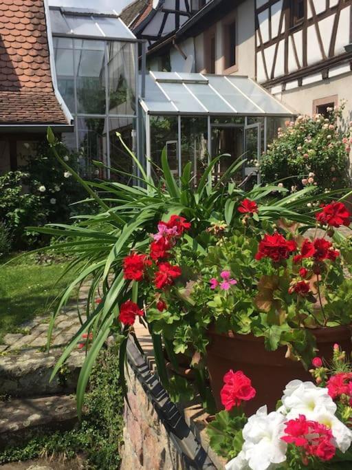 Apartment Traumblick Rebenmeer Gleisweiler