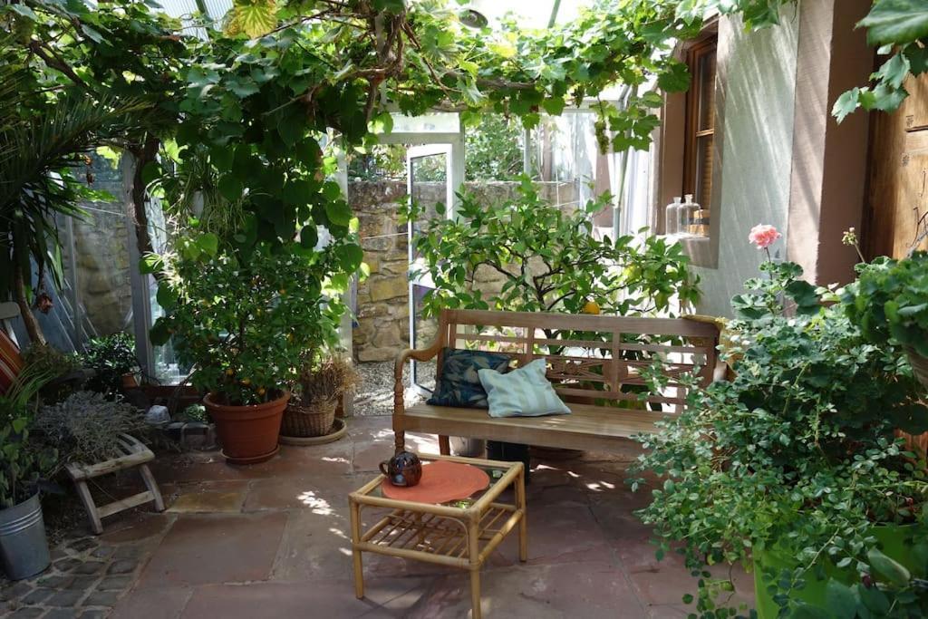 Apartment Traumblick Rebenmeer Gleisweiler