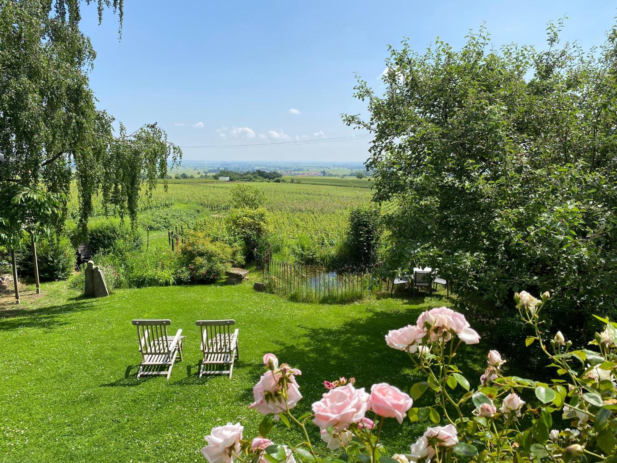 Apartment Traumblick Rebenmeer